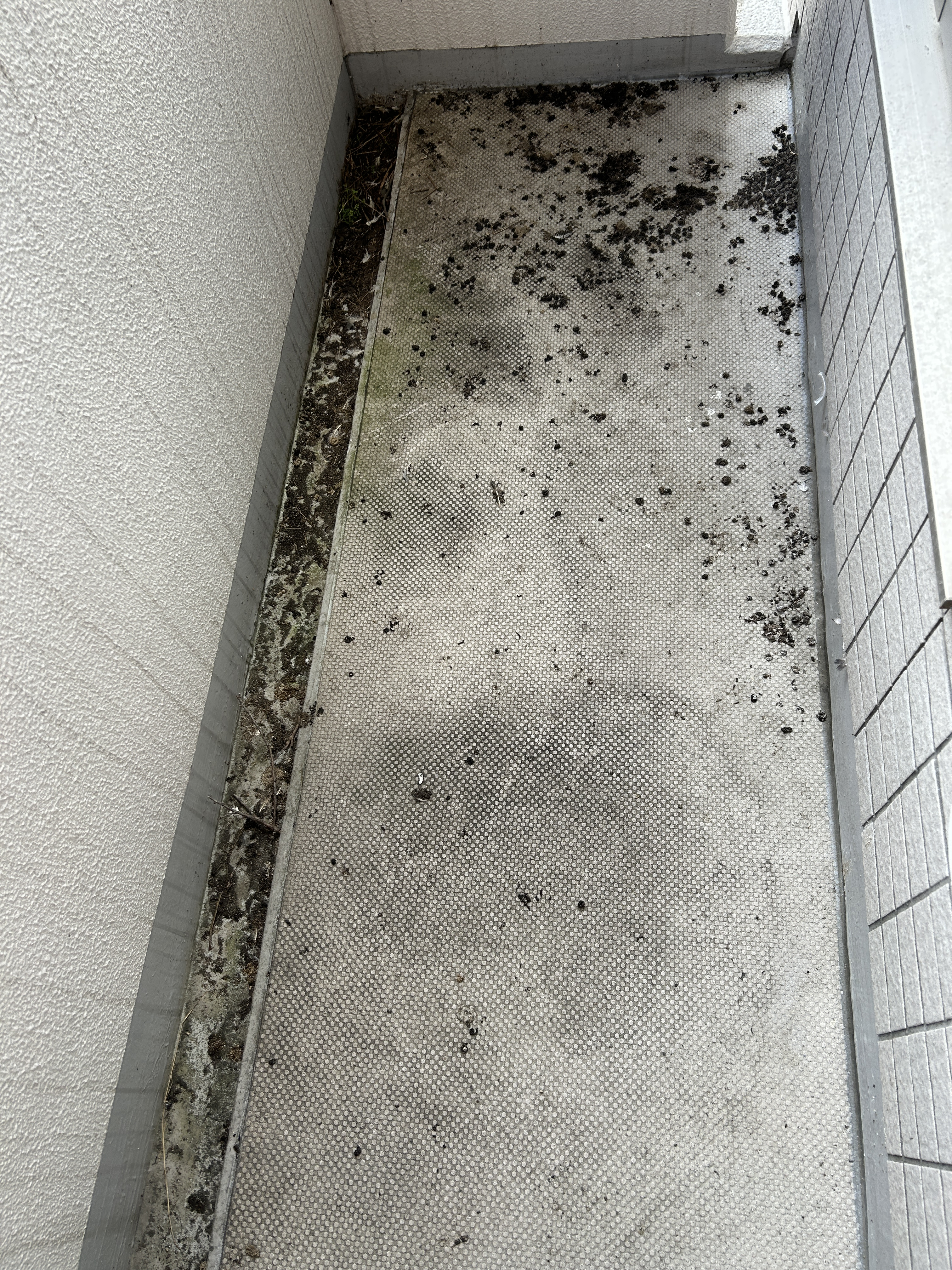 福島県会津若松市のベランダ・バルコニークリーニングの作業前1