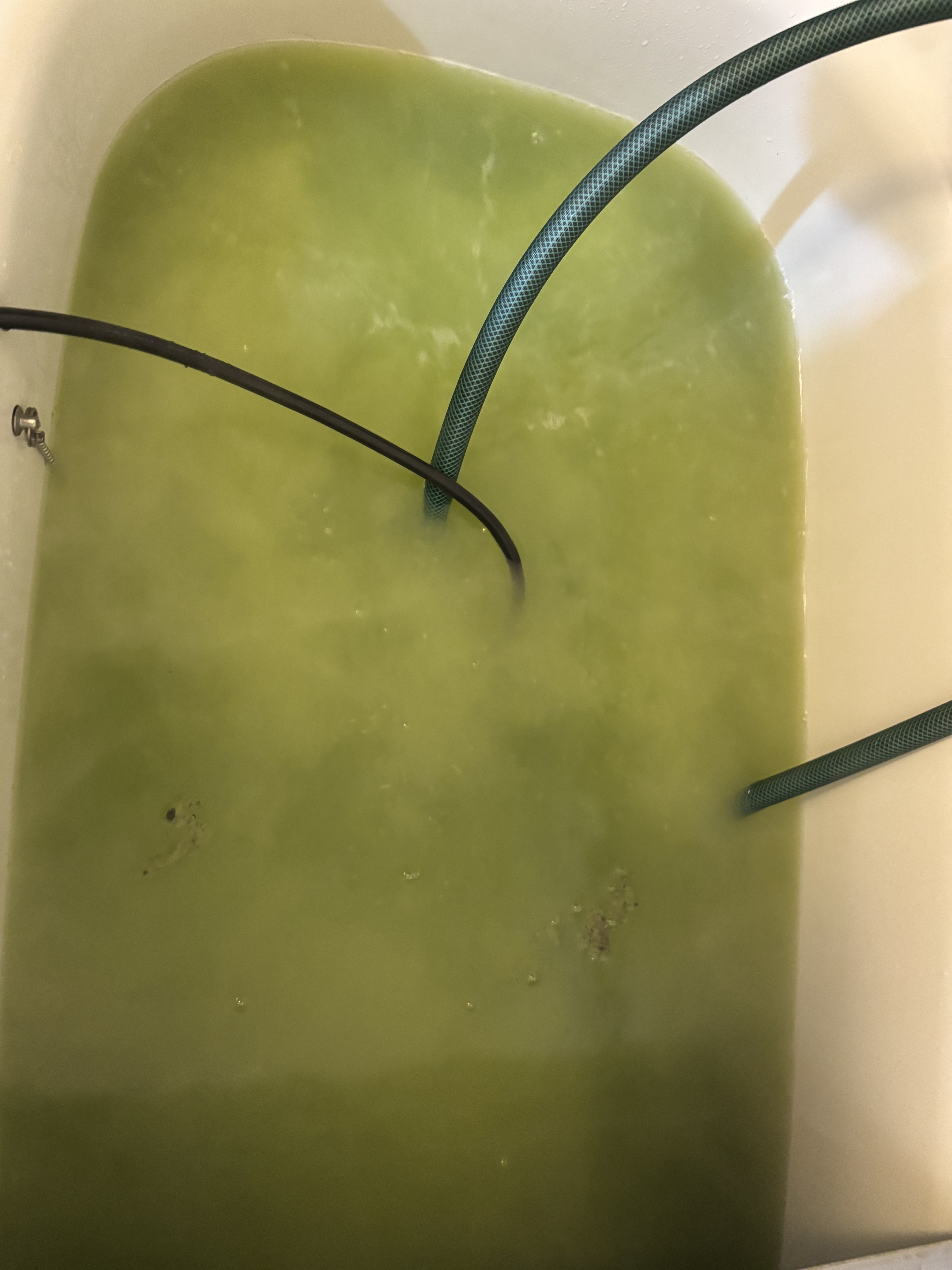 宮城県仙台市太白区茂庭台の追い焚き配管除菌洗浄の作業後1