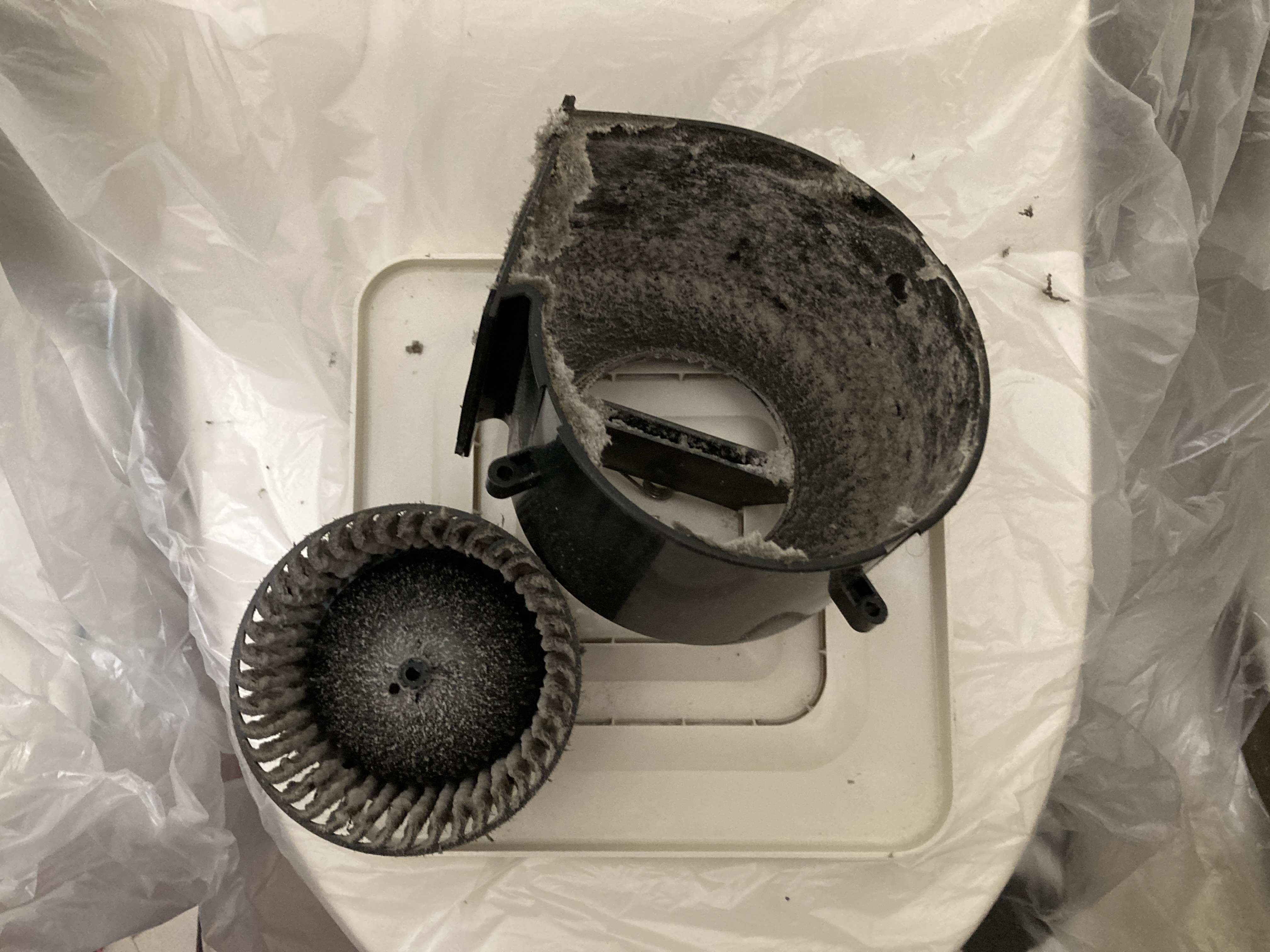 京都府京都市南区西九条南田町のトイレクリーニングの作業前1