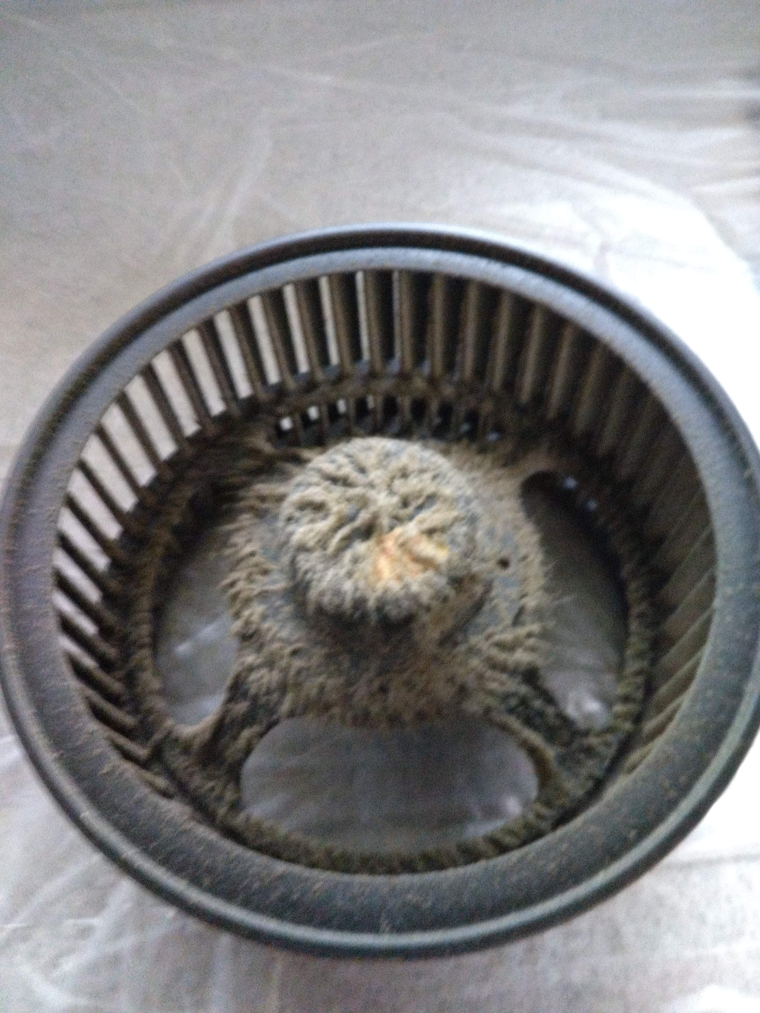 青森県八戸市のキッチンクリーニングの作業前1