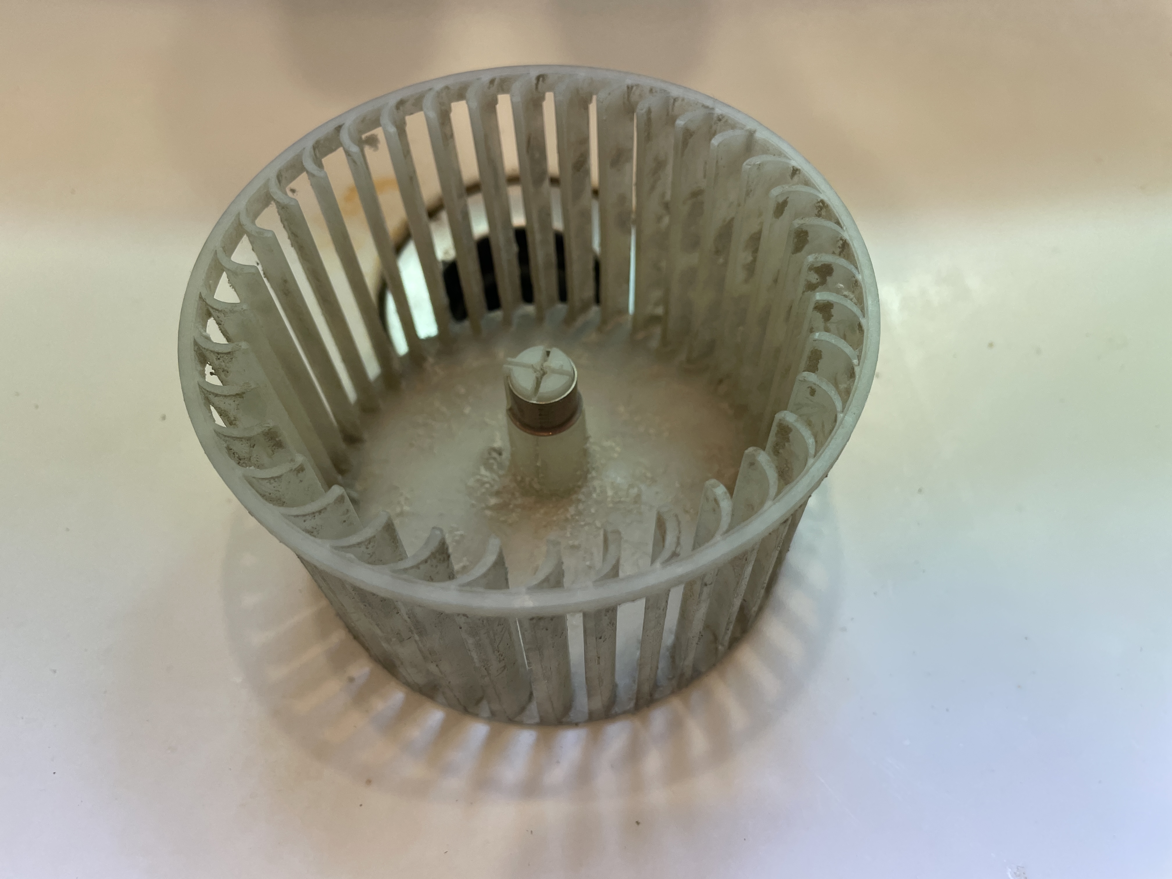 神奈川県横浜市港北区のトイレクリーニングの作業前1