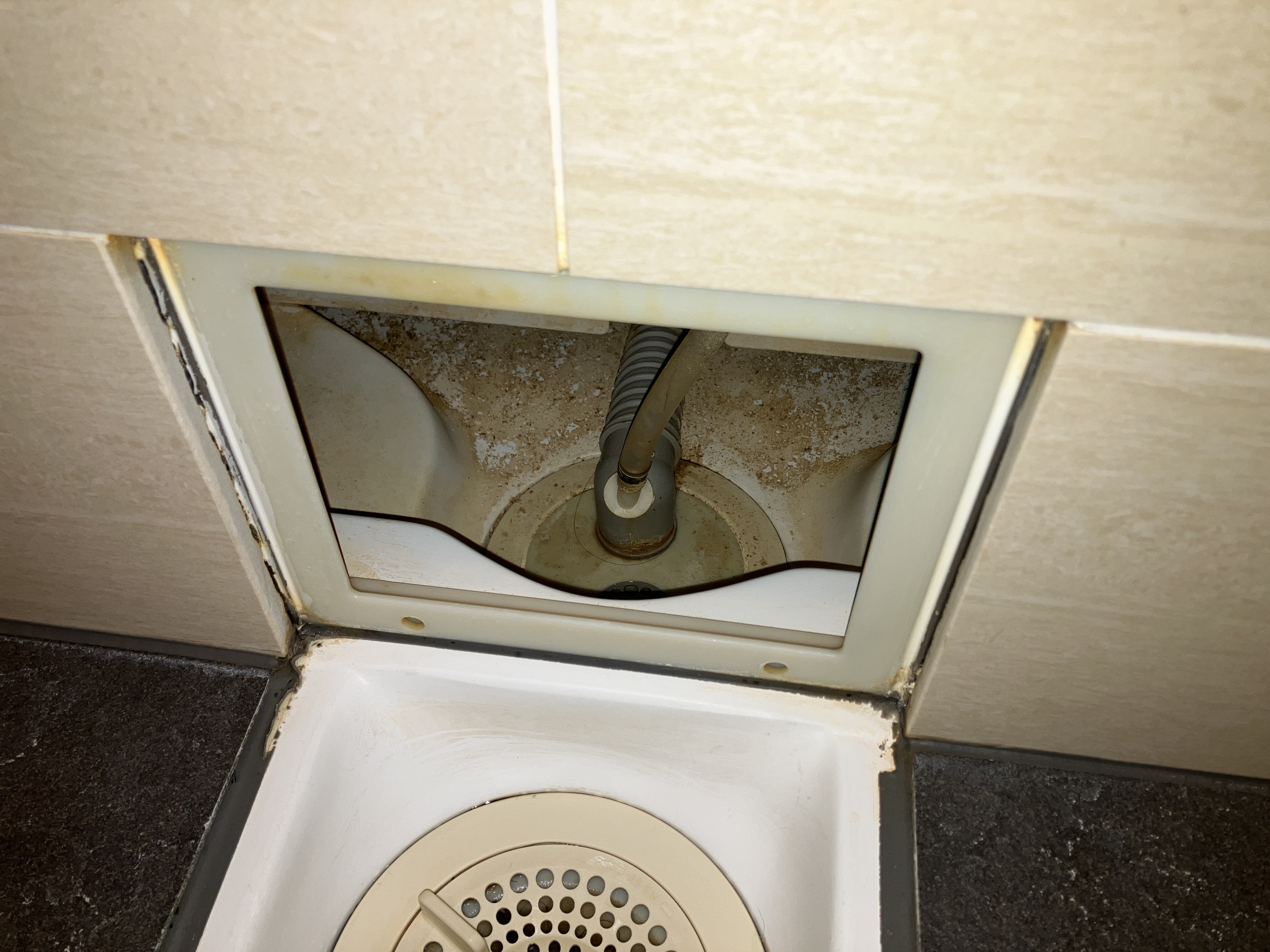 東京都文京区の浴室・お風呂クリーニングの作業前1