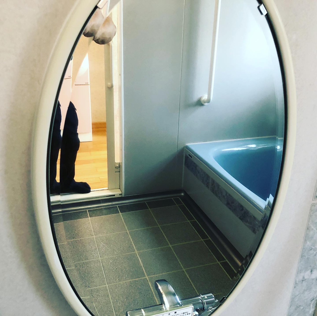 茨城県水戸市の浴室・お風呂クリーニングの作業後1