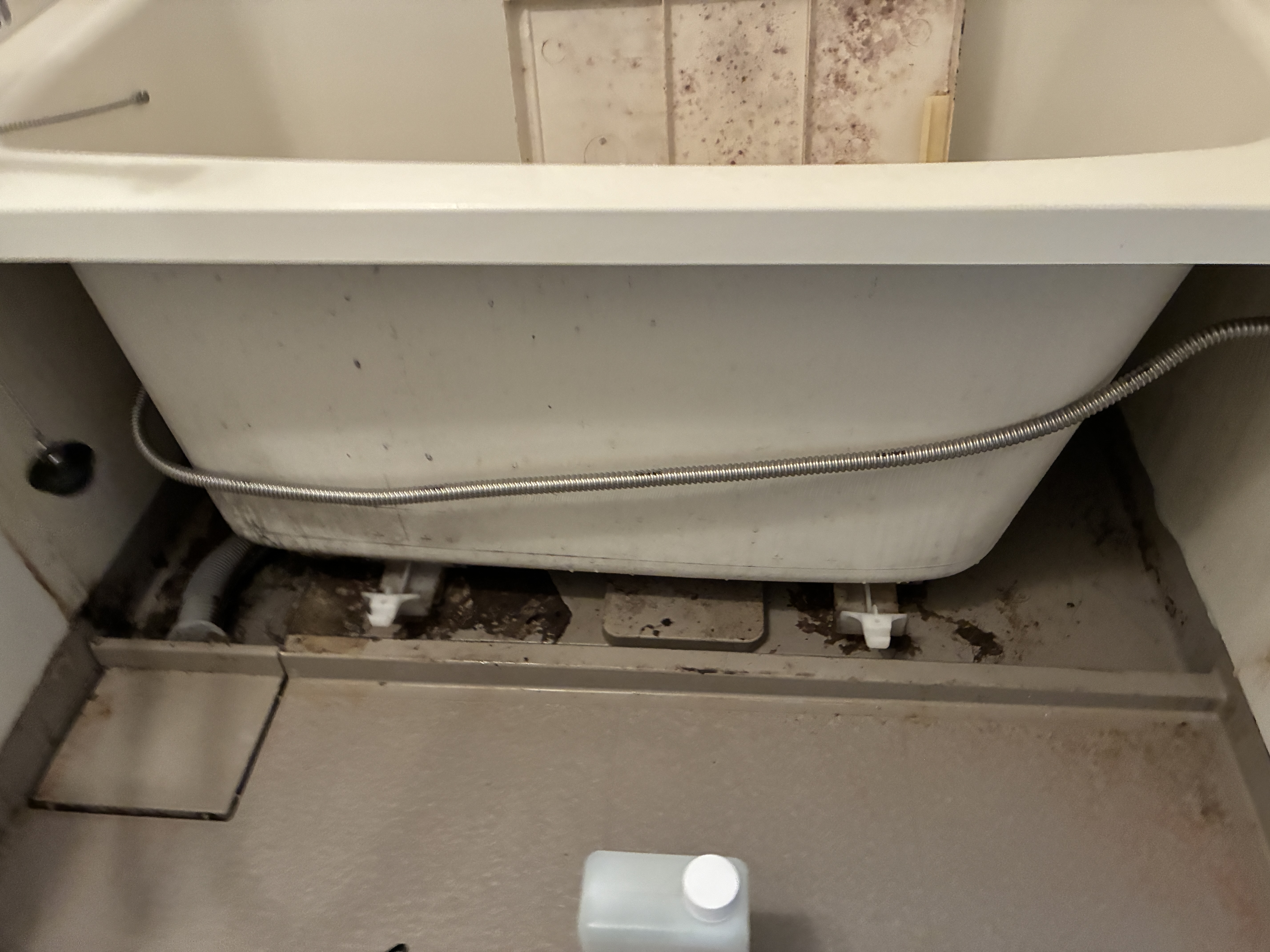 愛知県名古屋市千種区自由が丘の浴室・お風呂クリーニングの作業前2