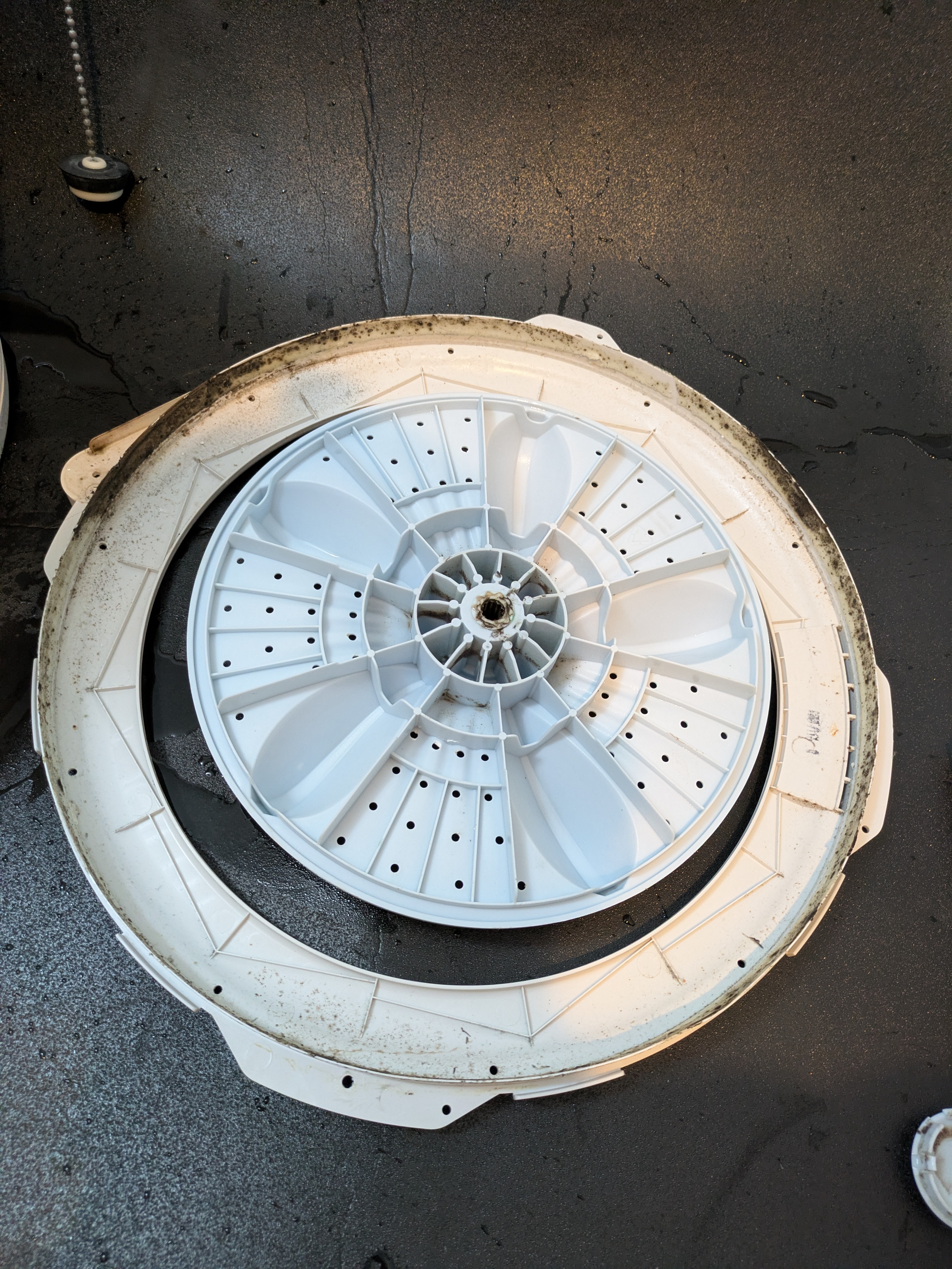 埼玉県さいたま市岩槻区本町の洗濯機分解クリーニングの作業前2