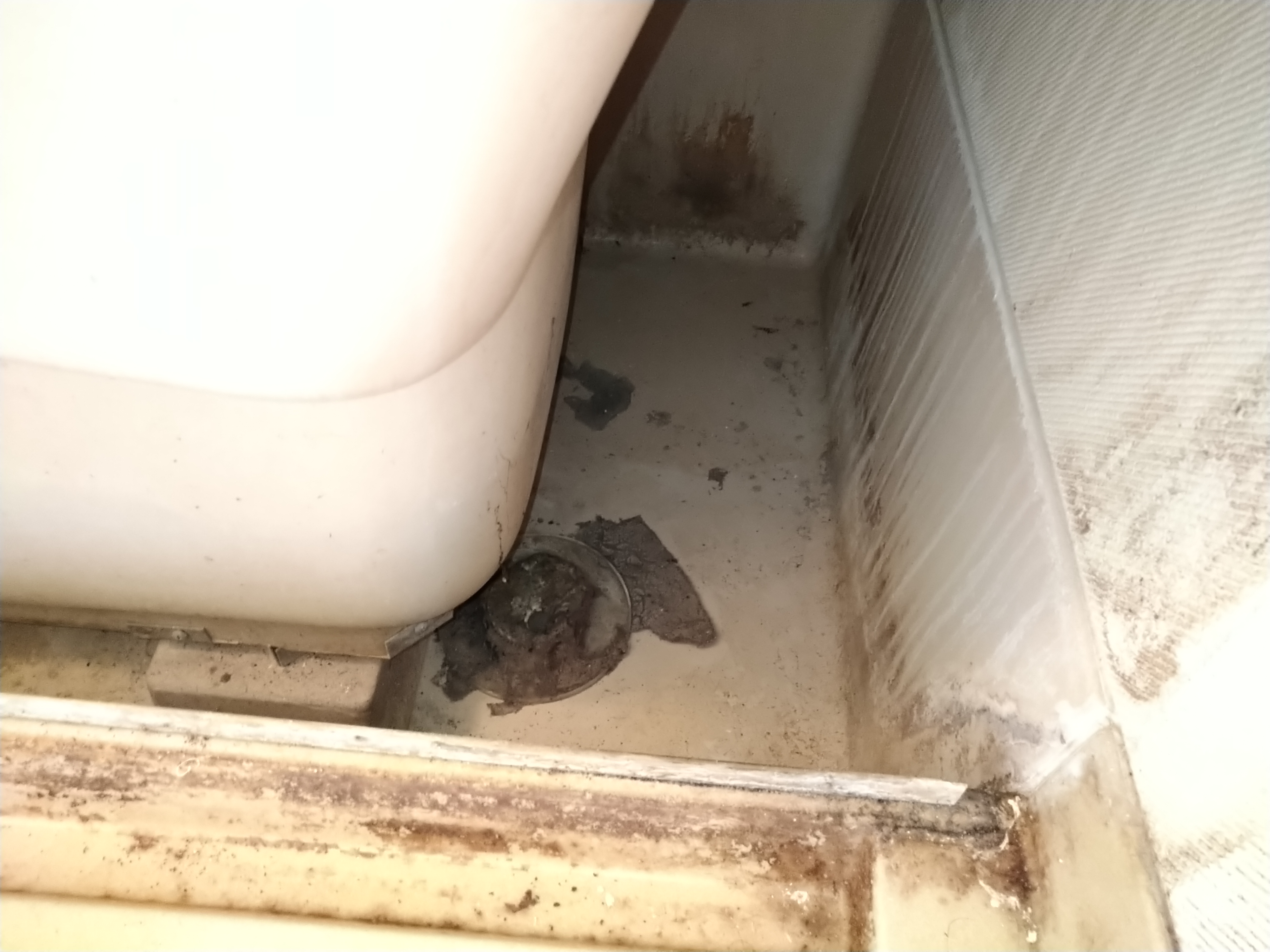 静岡県浜松市浜名区の浴室・お風呂クリーニングの作業前2