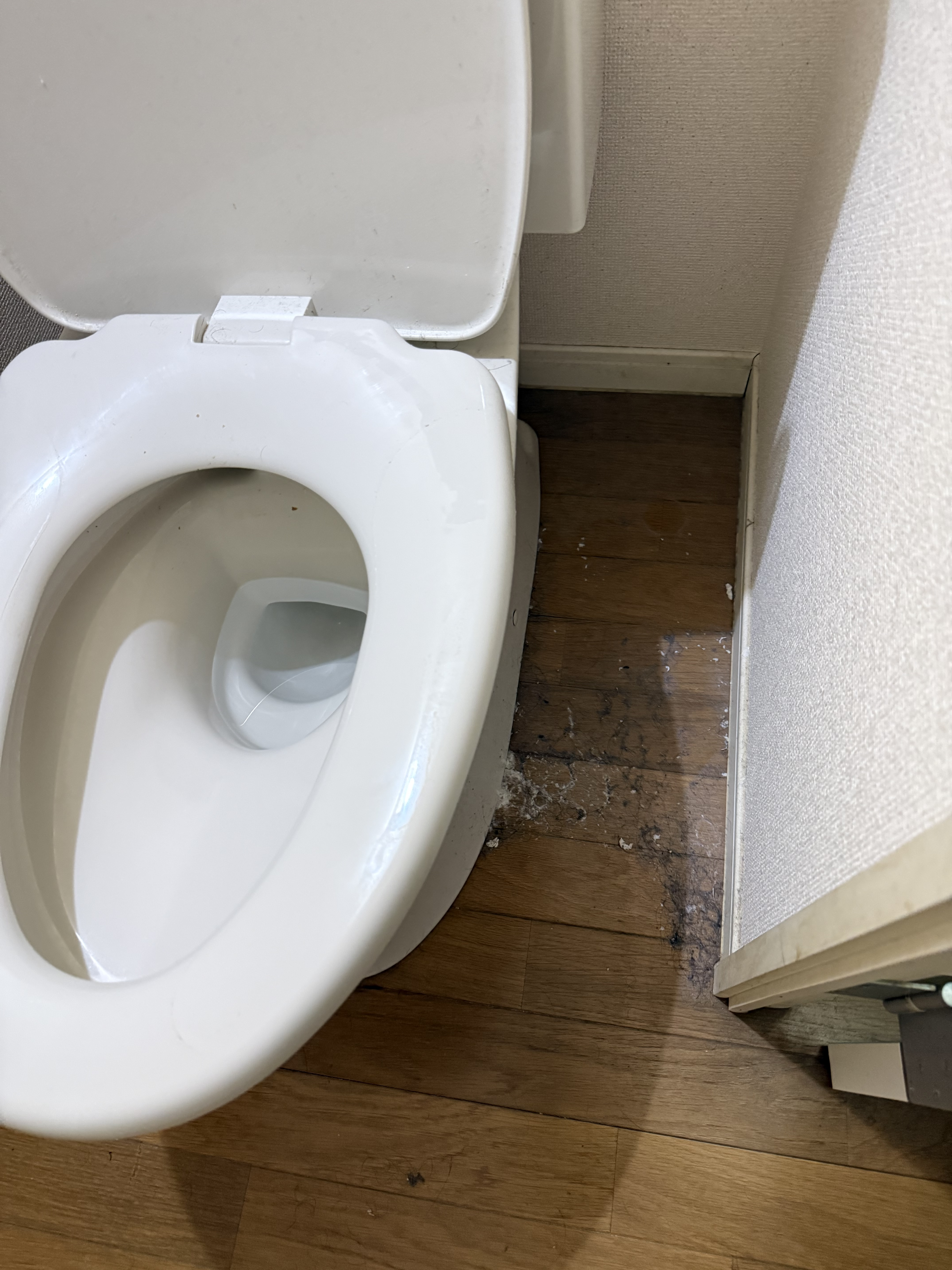 福岡県春日市のトイレクリーニングの作業前1