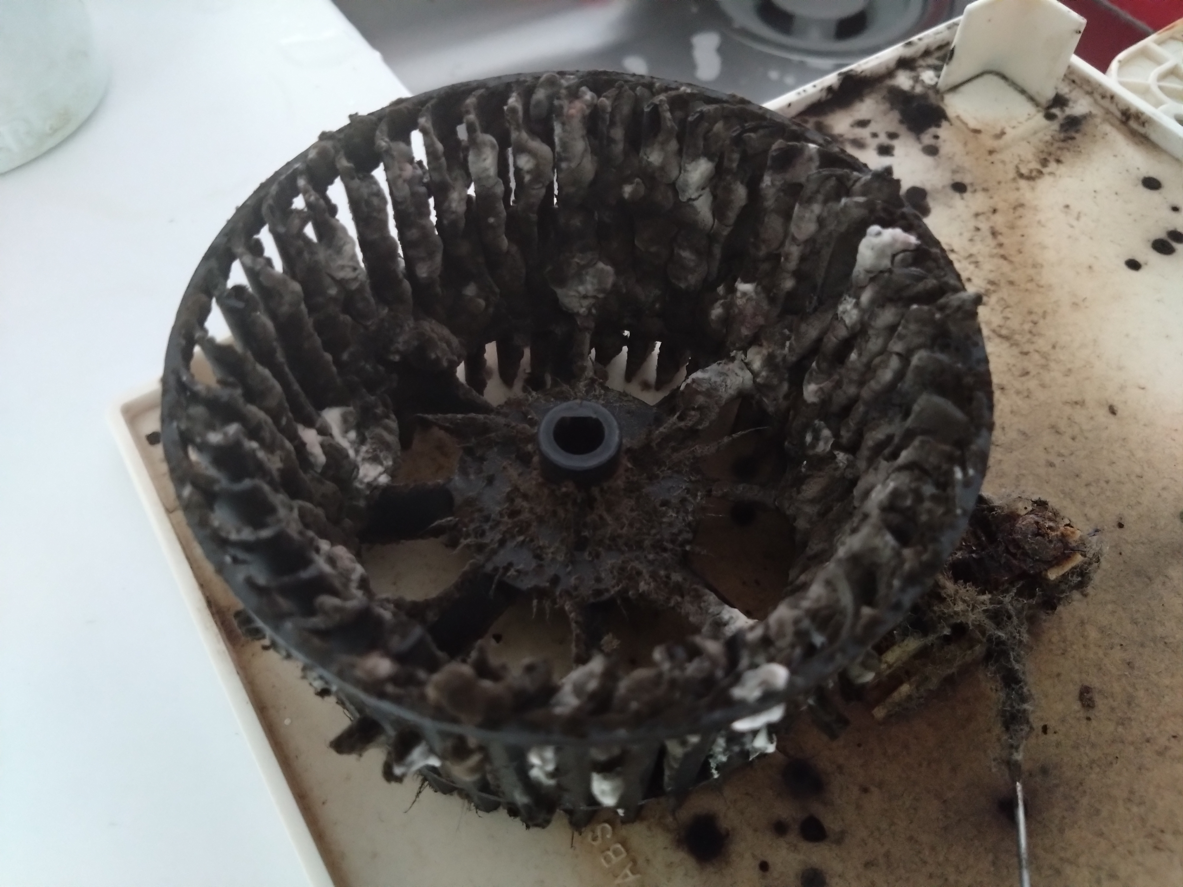 静岡県浜松市中央区の浴室・お風呂クリーニングの作業前1