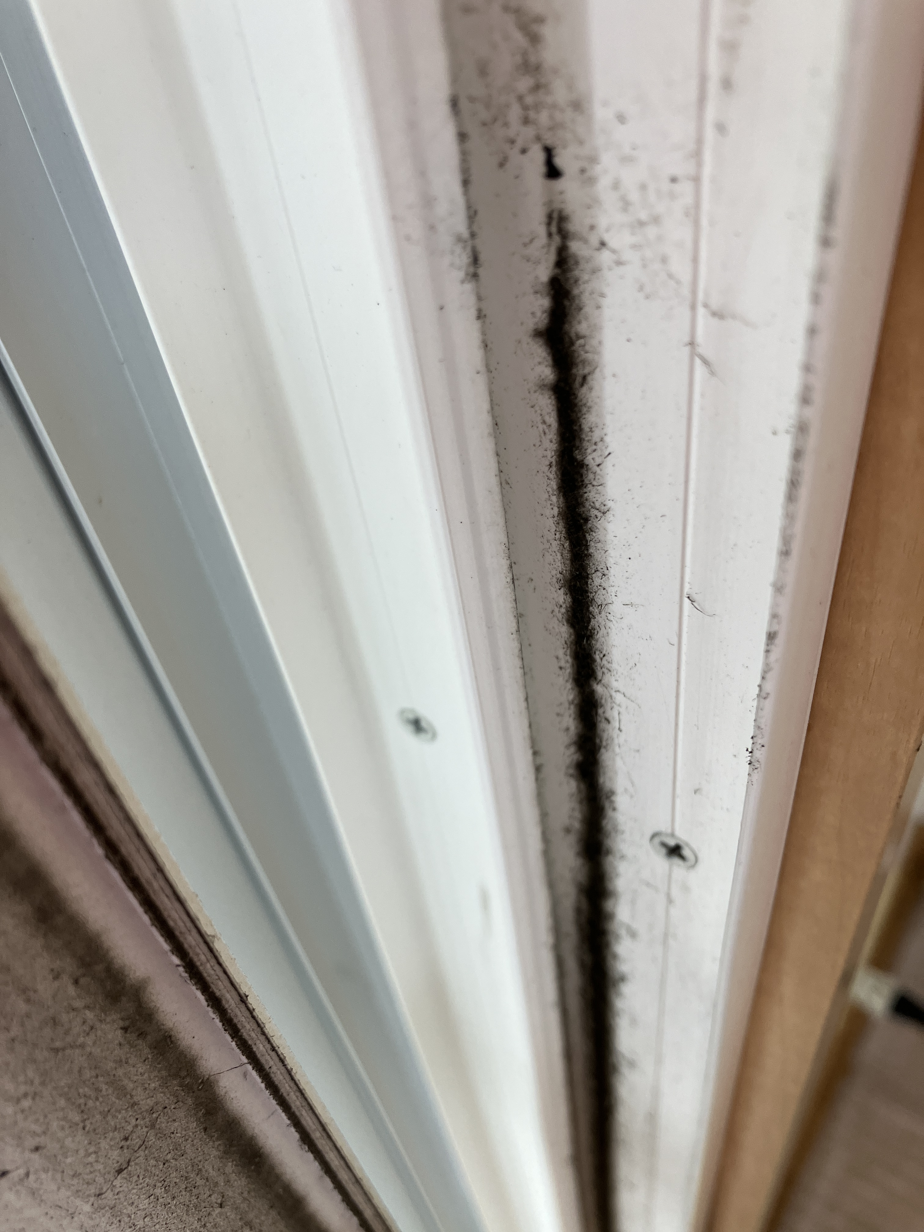 宮城県仙台市宮城野区の社宅・社員寮の原状回復クリーニングの作業前1