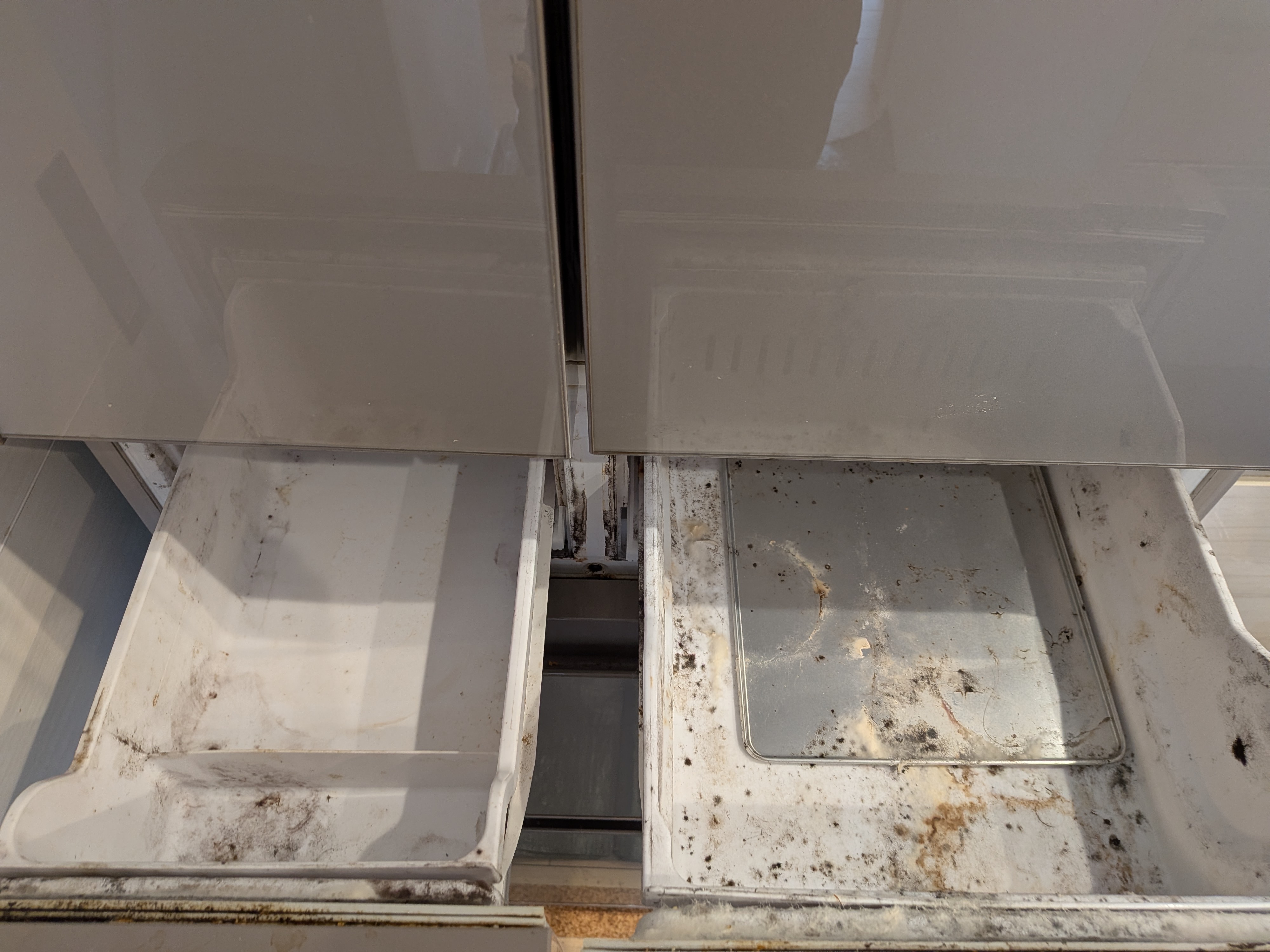 静岡県磐田市の冷蔵庫クリーニングの作業前3