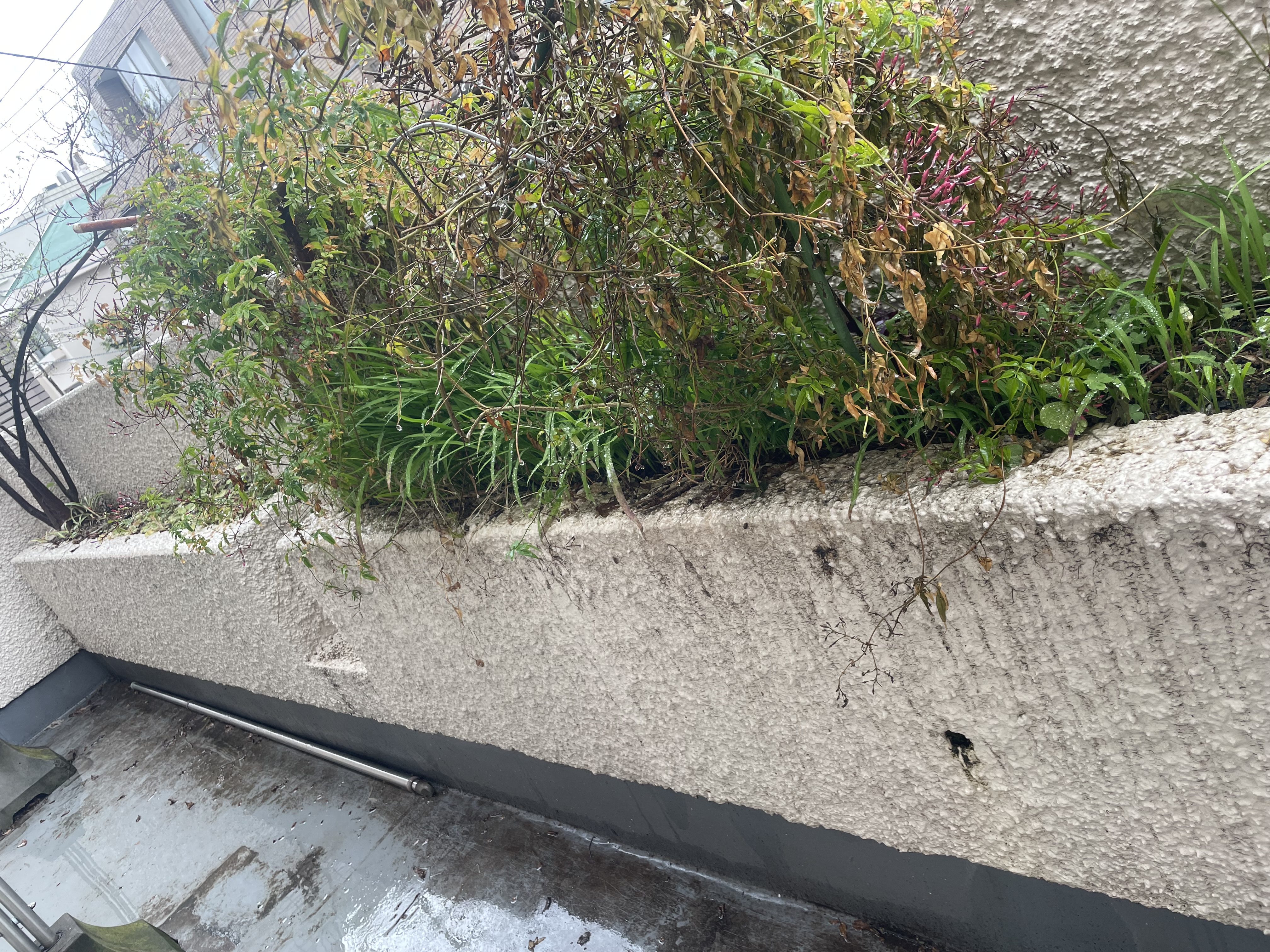 東京都新宿区市ヶ谷のベランダ・バルコニークリーニングの作業前2