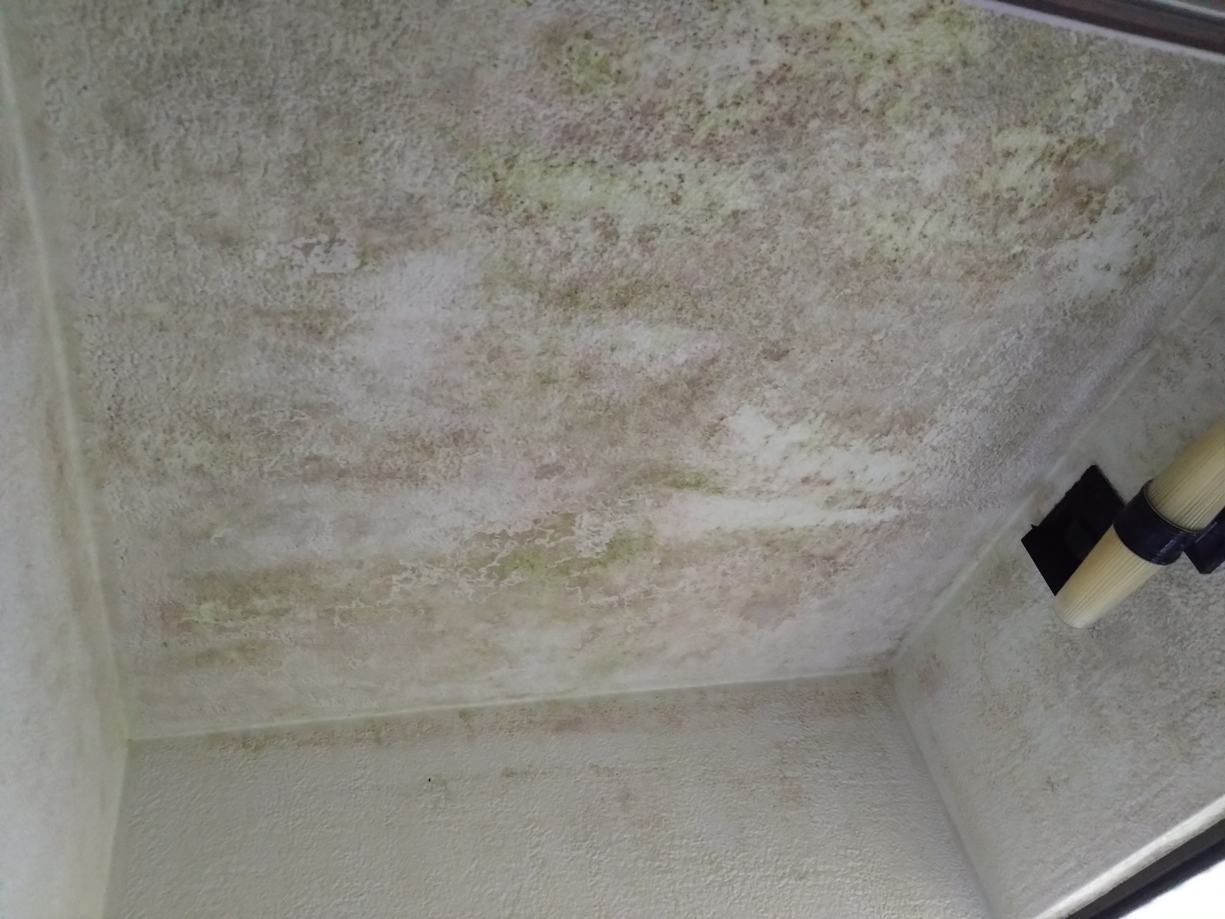 静岡県浜松市浜名区の浴室・お風呂クリーニングの作業前2