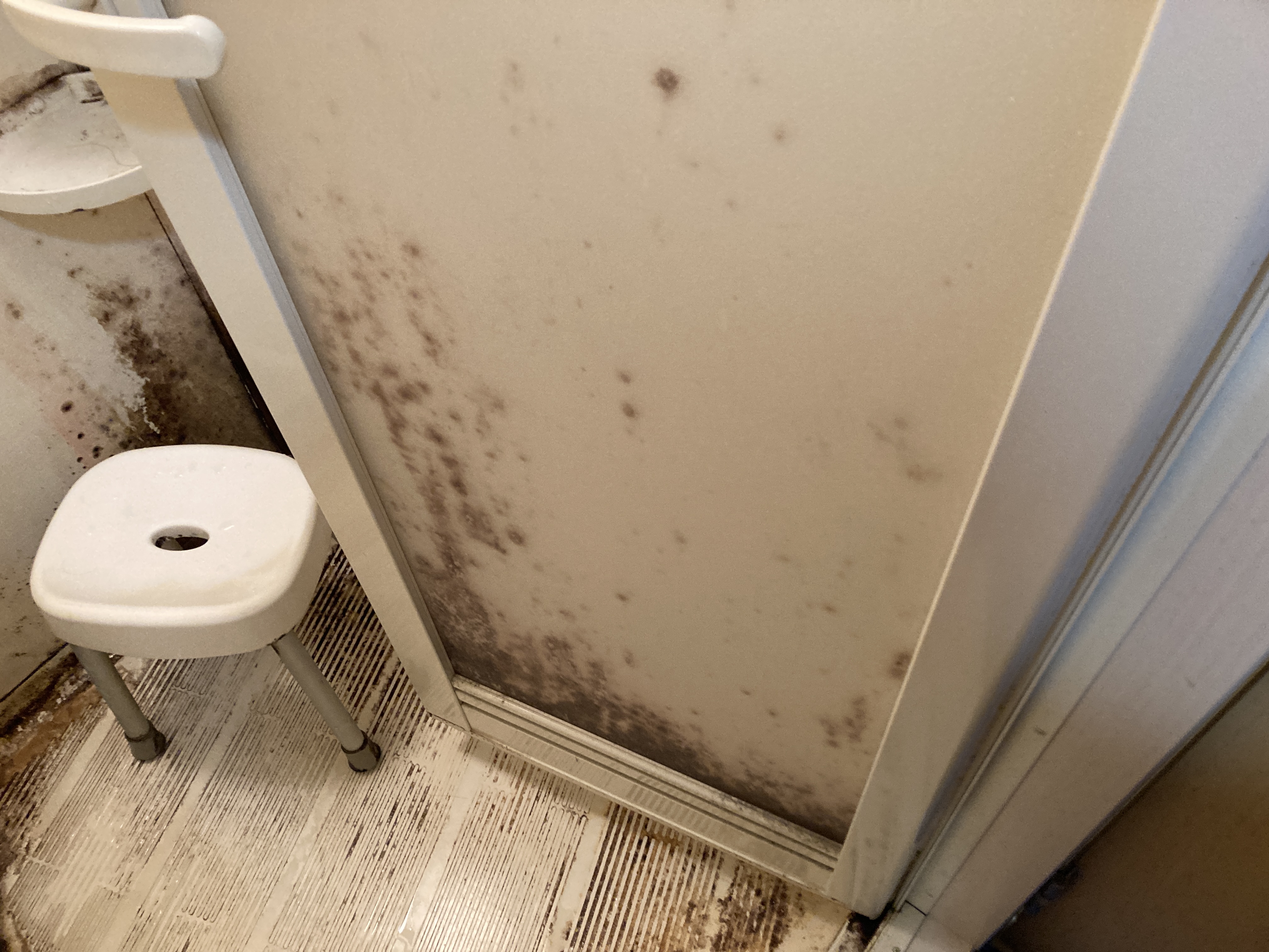 京都府京都市上京区笹屋の浴室・お風呂クリーニングの作業前3