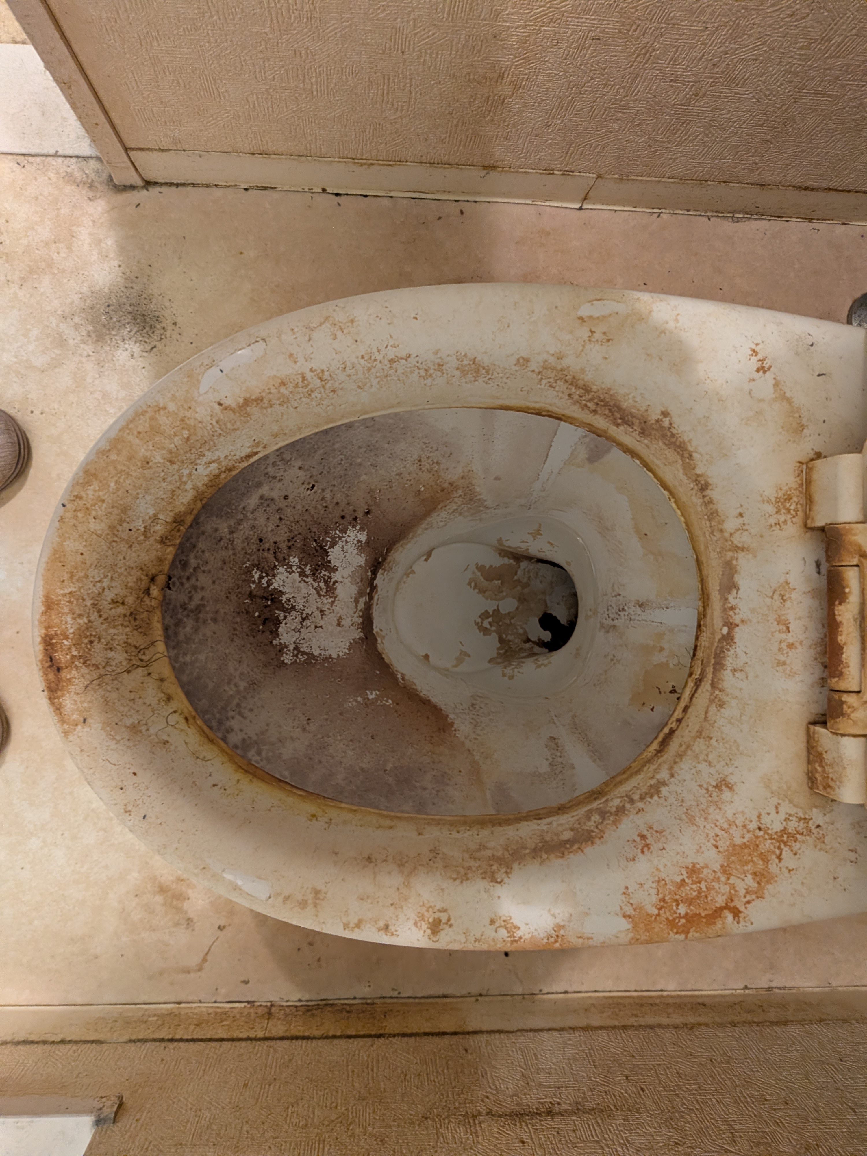 神奈川県横浜市磯子区中原のトイレクリーニングの作業前1