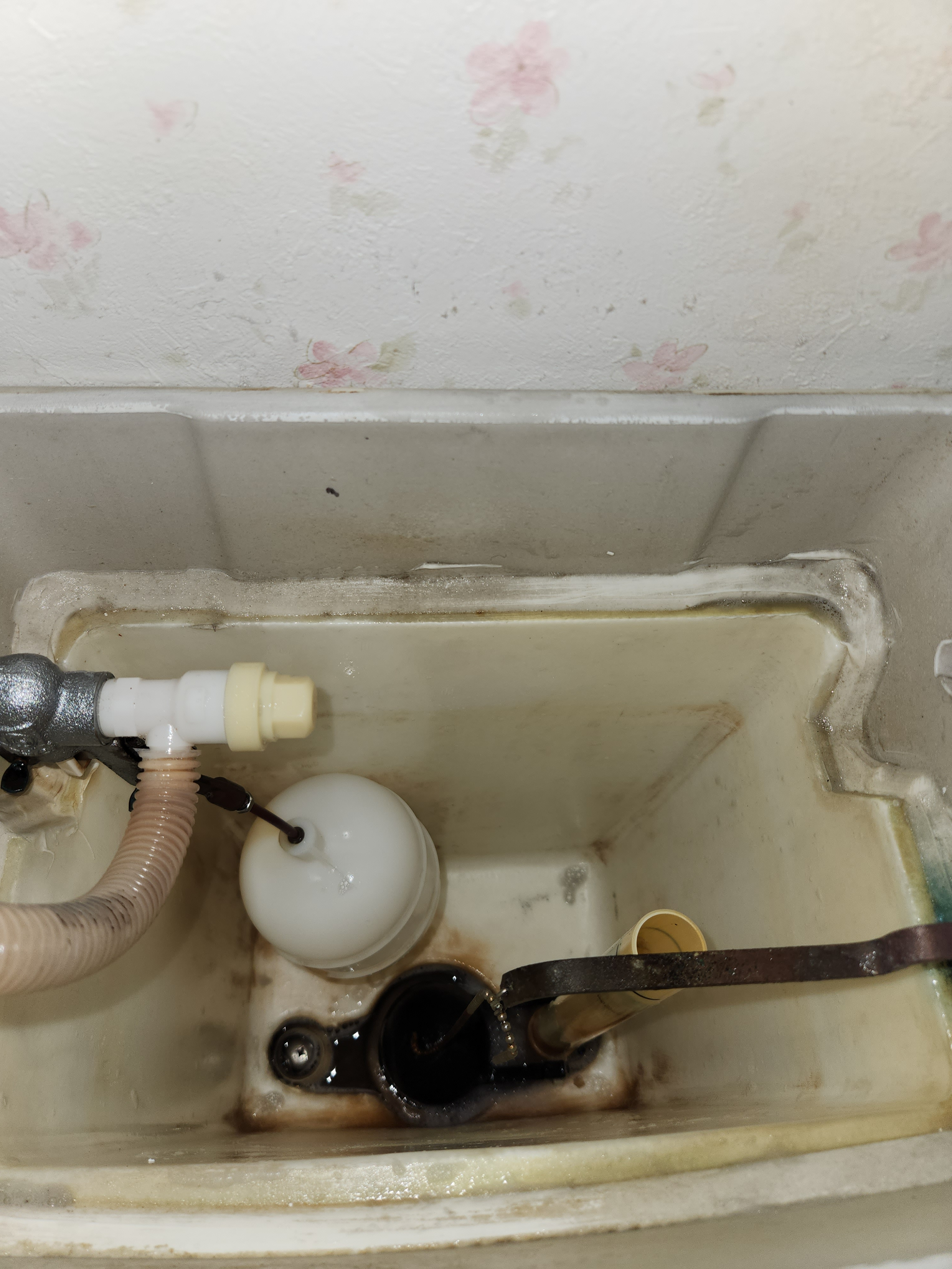 埼玉県鴻巣市のトイレクリーニングの作業後1
