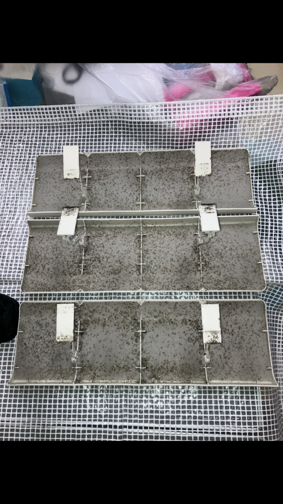 福島県いわき市内郷の業務用天井埋め込みエアコンの作業前2