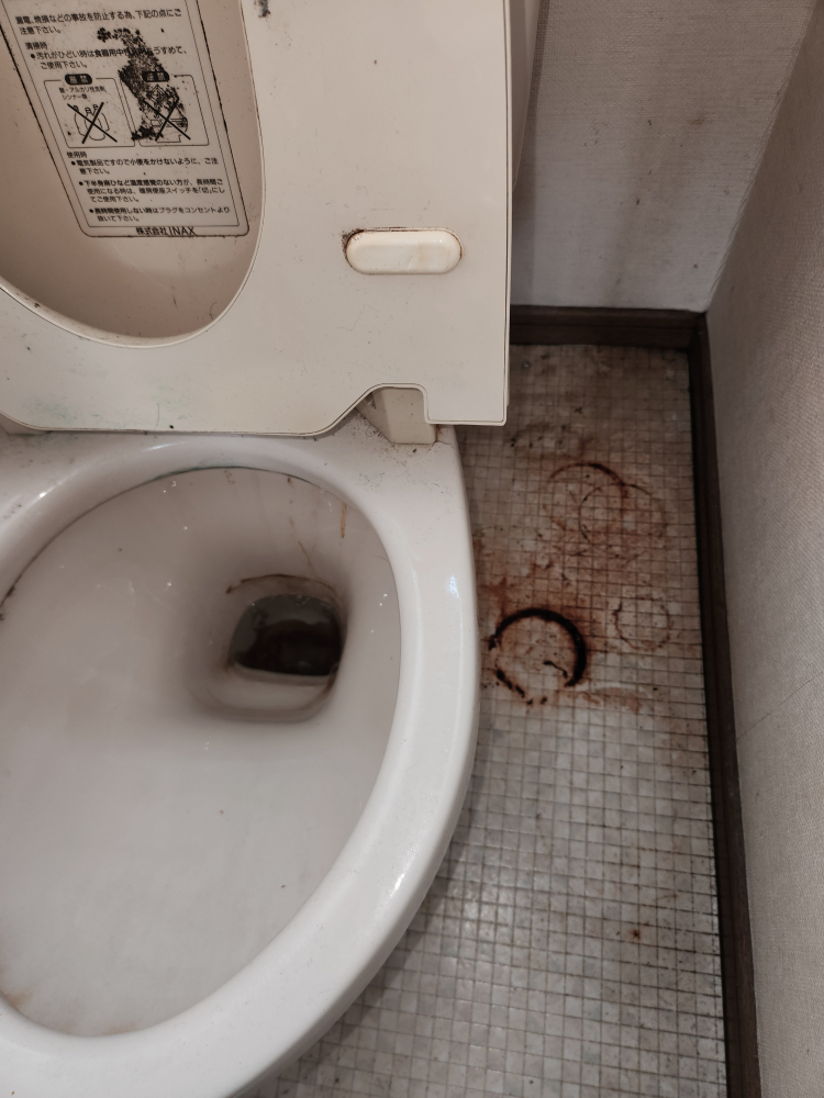 埼玉県行田市のトイレクリーニングの作業前1