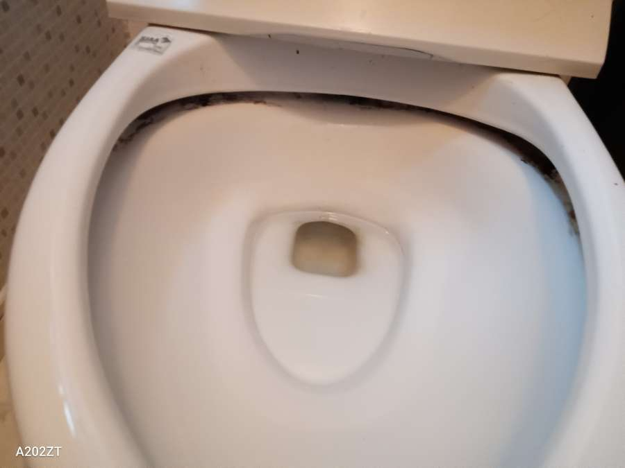 東京都大田区のトイレクリーニングの作業前1