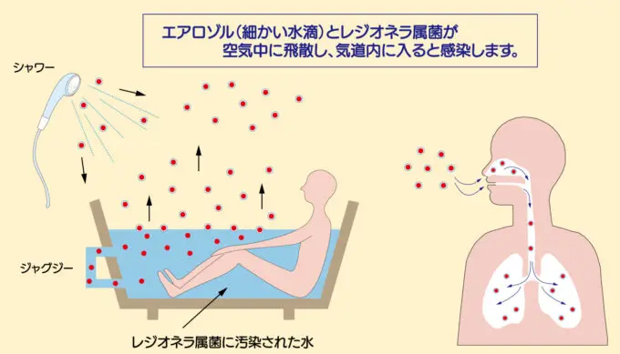 大阪府大阪市鶴見区の追い焚き配管除菌洗浄の作業後2