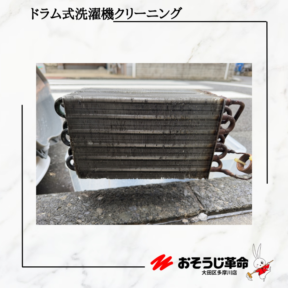 東京都大田区池上の洗濯機分解クリーニングの作業後1
