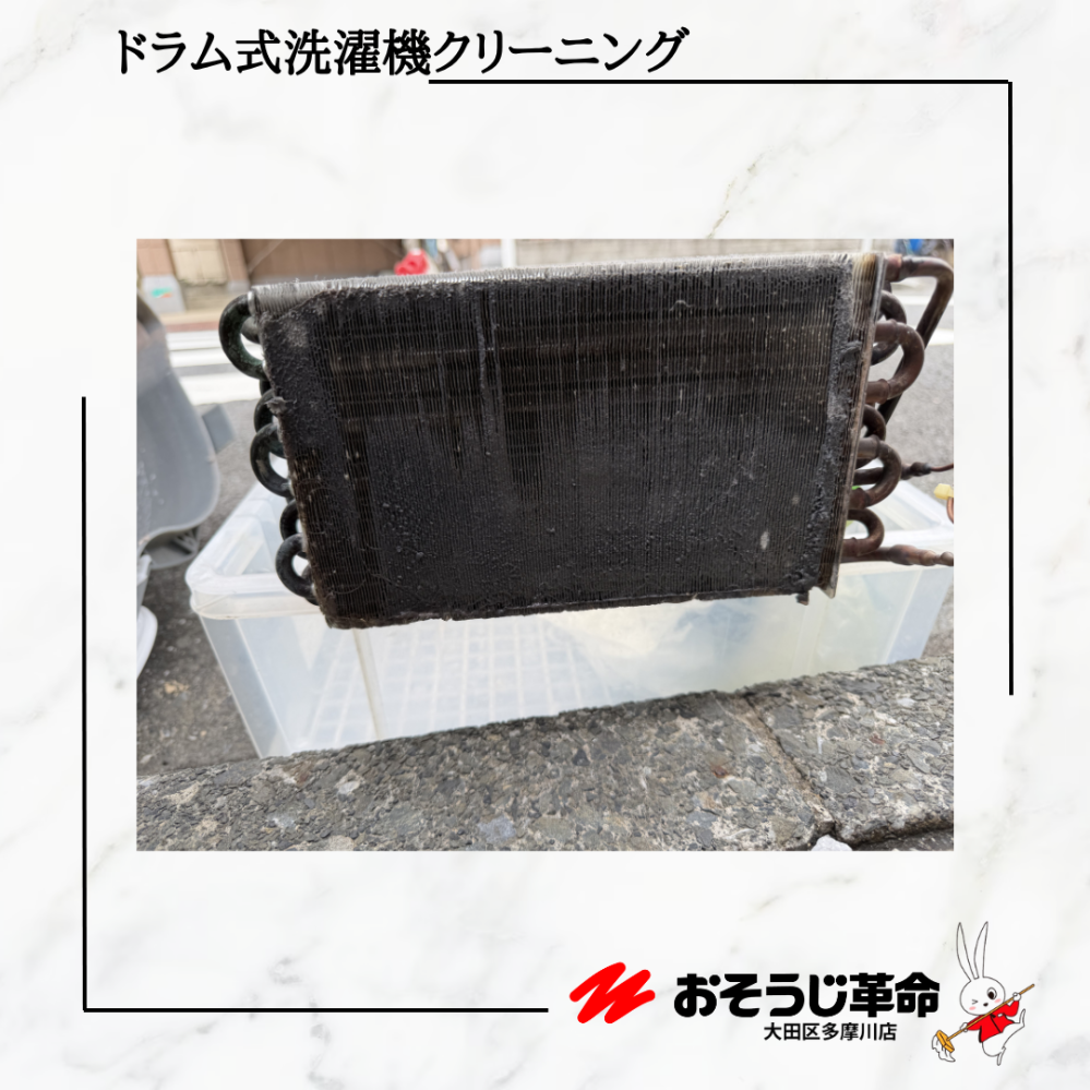 東京都大田区池上の洗濯機分解クリーニングの作業前1