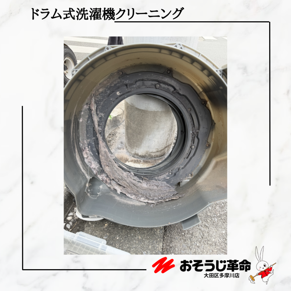 東京都大田区池上の洗濯機分解クリーニングの作業前3