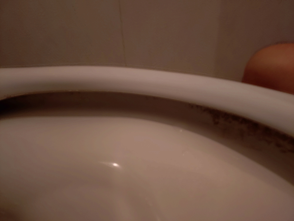 千葉県四街道市のトイレクリーニングの作業前3