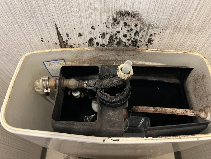 鳥取県米子市義方町のトイレクリーニングの作業前1