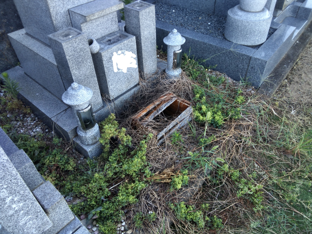 兵庫県姫路市の何でもわがまま定額サービスの作業前1