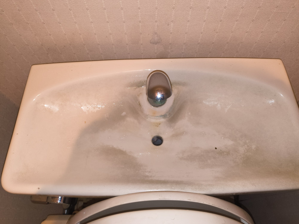 埼玉県所沢市のトイレクリーニングの作業前1
