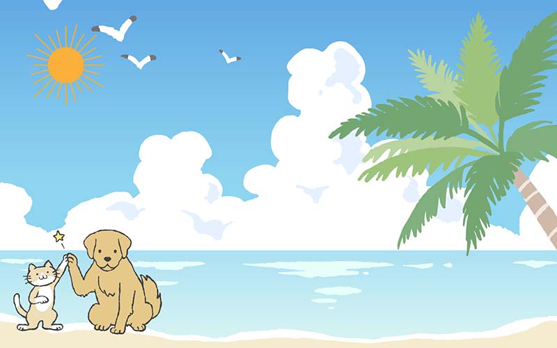 ペットと夏