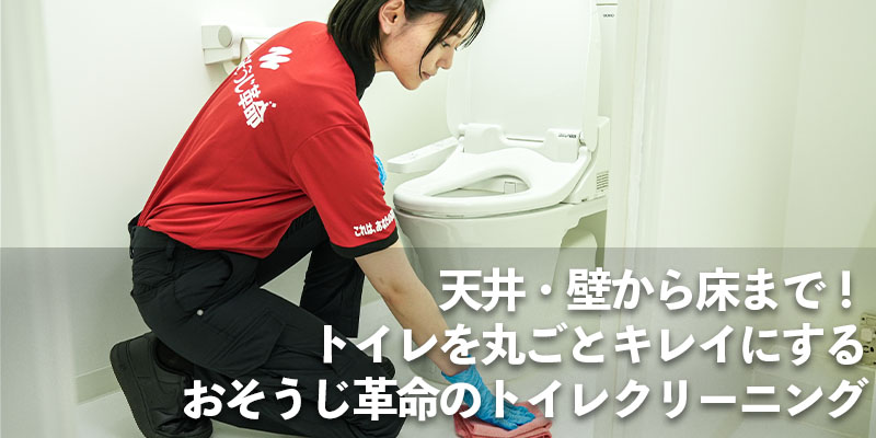 天井・壁から床まで!トイレを丸ごとキレイにするおそうじ革命のトイレクリーニング