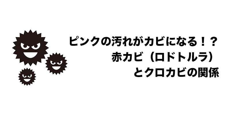 ピンクの汚れがカビになる！？赤カビ（ロドトルラ）とクロカビの関係