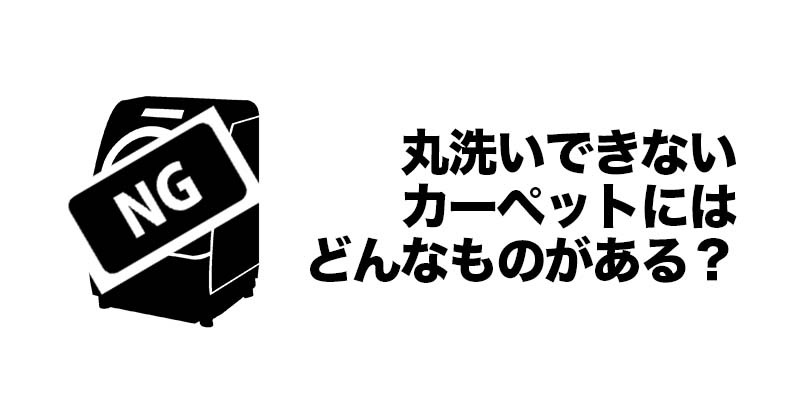 丸洗いできないカーペットにはどんなものがある？