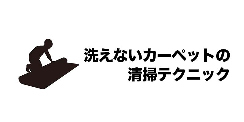 洗えないカーペット清掃テクニック