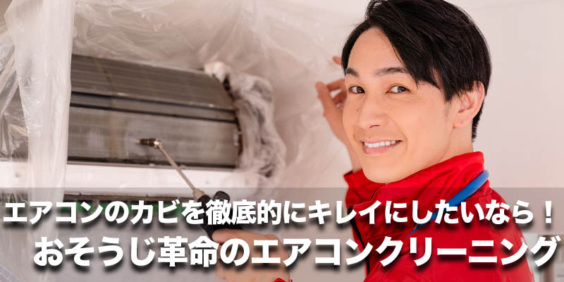 エアコンのカビを徹底的にキレイにしたいなら！おそうじ革命のエアコンクリーニング    