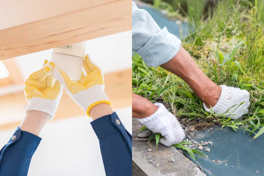 何でもわがまま定額