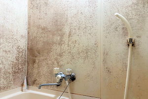 浴室・水回りのカビや水垢