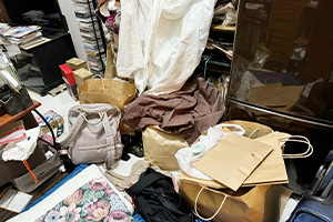 ケース⑤ 一戸建て（3LDK）・中度ゴミ屋敷の画像