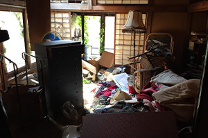 ケース⑩ 一戸建て（5LDK）・重度ゴミ屋敷の画像