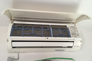 害虫の発生やカビ臭のイメージ