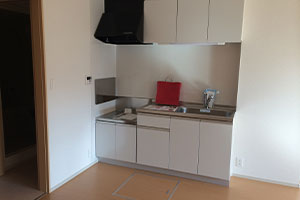 ケース③ 2DKマンション/約50㎡の画像