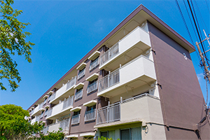 ケース⑦ 団地型相続マンション（2DK・約50㎡）の画像