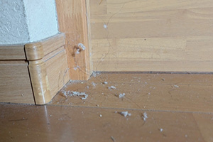 ケース③ 中古マンション(3LDK・約70㎡)/再販物件の画像