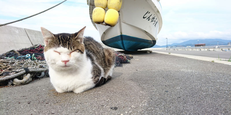 早期退職したら行きたい！”時間にゆとりがある人”こそ楽しめる国内旅行先10選